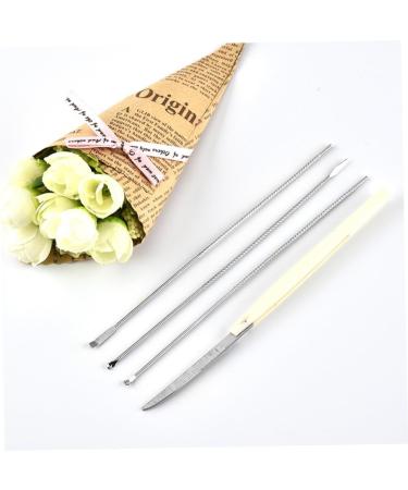 Stainless Steel Ear Tool Set - Long Handle Ear Pick, Scoop, Spoon - Silver Ear Suit Set - Buy Online on GoSupps.com