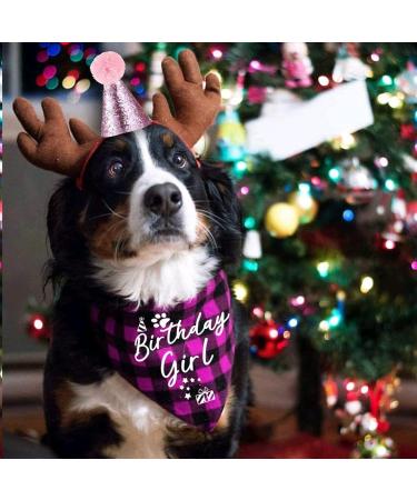 easycozy Classic Pink Plaid Pet Puppy Dog Bandana with Dog Birthday Party Hat Accessories Girl Dog Birthday Bandana Scarf Bibs for Pet Birthday Outfit Party Supplies Set - Buy Online on GoSupps.com