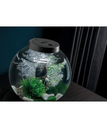 Biorb 78134 Fairytales Decor Set - Realistic Artificial Aquatic Plants Roots & Stones for Freshwater & Saltwater Aquariums | 15L Aquarium Design - Buy Online on GoSupps.com