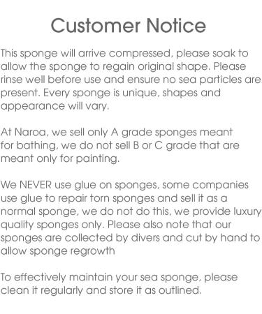 Naroa Natural Sea Sponge for Bathing | Firm Exfoliating Body Scrubber | Eco-Friendly & Renewable | Medium Size | Men & Women - Buy Online on GoSupps.com
