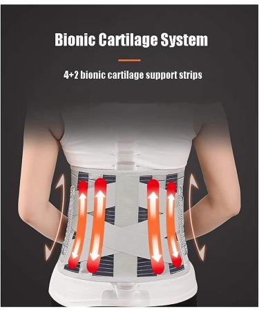 Lordosis Support Belt for Back Pain Relief - Self-Heating Back Support for Men & Women (Medium & XXL) - Ideal for Herniated Disc & Sciatica - Buy Online on GoSupps.com