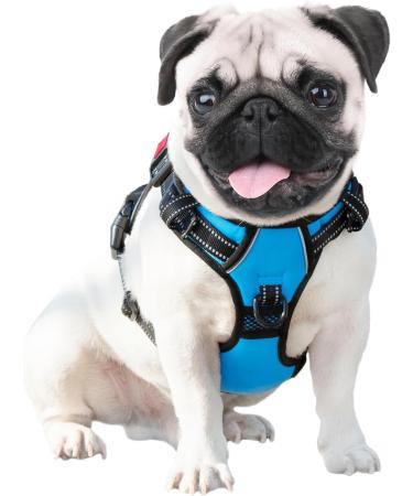 Buy Phoepet Adjustable Dog Harness for Small Dogs - Reflective Vest with Handle & 2 Metal Rings (Blue Size L) - Easy On/Off - Buy Online on GoSupps.com