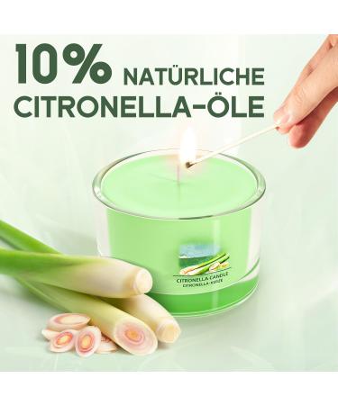 Citronella Candle Set - 6 Natural Soy Wax Candles for Outdoor Use | 12 Hours Burn Time | Perfect for Garden Camping & Picnics - Buy Online on GoSupps.com