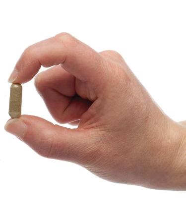 Native Remedies ColoFlush - Natural Herbal Supplement for Colon Health - 60 Veggie Caps - Buy Online on GoSupps.com