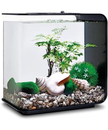 Buy Biorb 55026 Decor Set 15L - Realistic Artificial Aquatic Plants Roots & Stones for Freshwater & Saltwater Aquariums - Perfect Summer Decoration - Buy Online on GoSupps.com