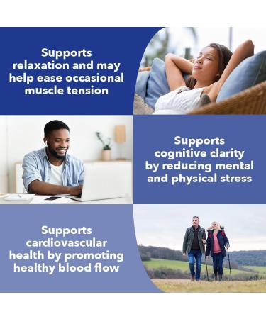 LifeSeasons Rest-ZZZ Extra Strength + Anxie-T Plus Bundle Sleep & Stress Support Supplement Pack Fall Asleep & Feel Calm Supports Nervous System Eases Tension - 60 Capsules & 60 Capsuless - Buy Online on GoSupps.com