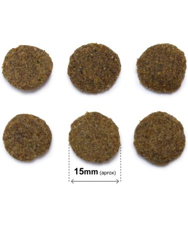 ARQUIVET Original - Senior & Light - Chicken and Rice - 3 kg - Consider for older adult dogs - chicken and rice - Dog food - Dry dog food - Canine food - Buy Online on GoSupps.com
