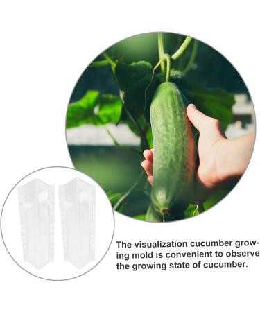 Toddmomy 2pcs Vegetable Shaping Fruit Garden Cucumber Vegetable Accessories Modeling - Buy Online on GoSupps.com