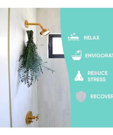 Dried Eucalyptus Branches - Real Hanging Stems for Home, Office, and Hotel D cor | Indoor Eucalyptus Plant for DIY Projects and Shower Aromatherapy - Buy Online on GoSupps.com
