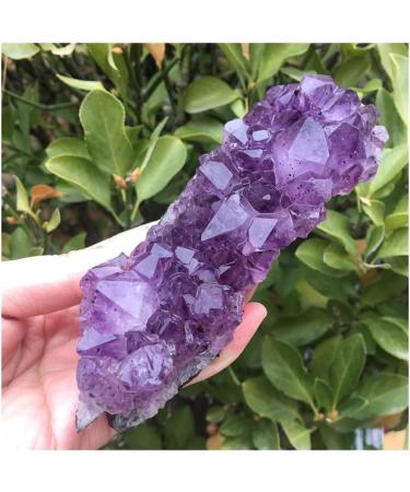 Natural Dream Amethyst Quartz Crystal Cluster Specimen Home Collections - Buy Online on GoSupps.com