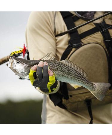 Ancllo Fly Fishing Kit - 100 Waterproof Dry & Wet Flies with Box for Trout Fishing - Buy Online on GoSupps.com