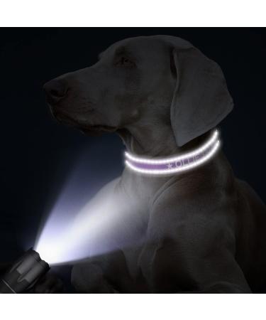 Tagme Personalized Large Dog Collar - Embroidered Reflective Nylon Custom Pet Name & Phone Number Purple - 1 Pack - Buy Online on GoSupps.com