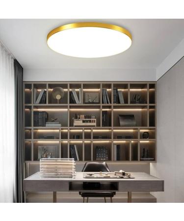 Mengjay 40W Dimmable LED Ceiling Lamp - Ultra Thin Round Panel Light for Living Room Kitchen Kids Room Bathroom & Balcony | 3000K-6000K Gold Finish - Buy Online on GoSupps.com