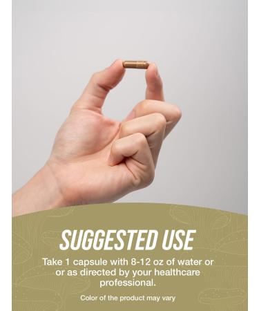 BulkSupplements.com White Button Mushroom Capsules - Mushroom Supplement Agaricus Mushroom Capsules - White Button Mushroom Extract Vegan 240 Count (Pack of 1) - Buy Online on GoSupps.com