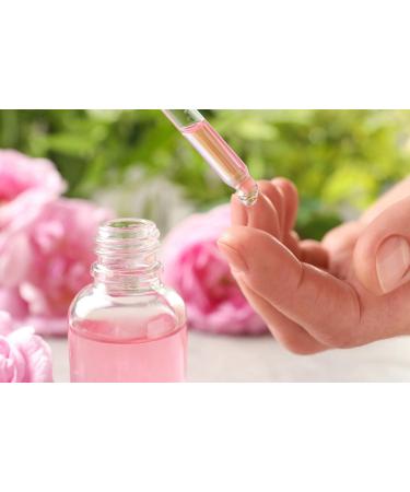12PCS 50ML Glass Pipette Dropper Bottles Set - Ideal for Essential Oils Perfume & Fragrance Samples - Boston Style for International Shipping - Buy Online on GoSupps.com