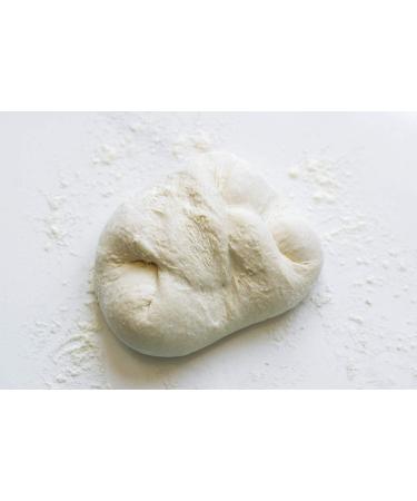 Saporepuro Xanthan powder 250g - Ideal for ice cream sauces mixology molecular cooking toppings and sorbets - 100% pure - Buy Online on GoSupps.com