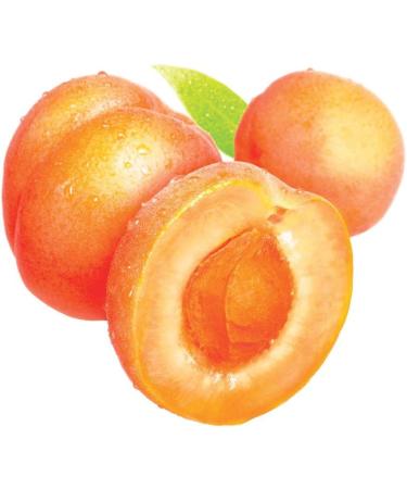 St. Ives Apricot Facial Scrub 150ml - Exfoliating and Refreshing Formula - Buy Online on GoSupps.com