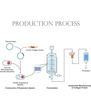 Collagen Type III Powder - 98% Pure Active Protein for Skin Firmness & Repair | Shop Now - Buy Online on GoSupps.com