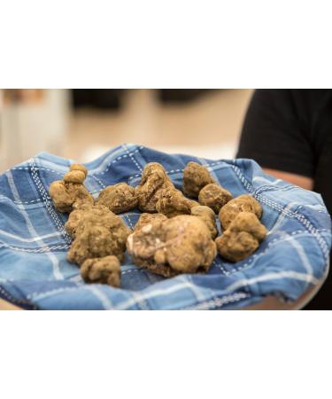 Buy Edition White Truffle Oil 250ml - Real White Truffle Extra Virgin Olive Oil Vegan & Gluten-Free - Perfect for Sauces & Refining Dishes - Buy Online on GoSupps.com