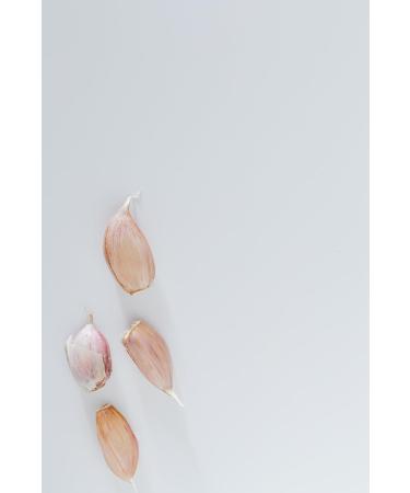 Harry Harvey Minced Garlic Paste 250g - Ready-to-Use Crushed Puree - Buy Online on GoSupps.com