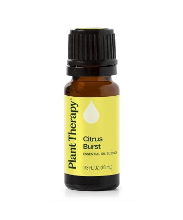 Plant Therapy Citrus Burst Synergy Essential Oil Blend 10 mL (1/3 oz) 100% Pure Undiluted Therapeutic Grade Citrus 0.33 Fl Oz (Pack of 1)