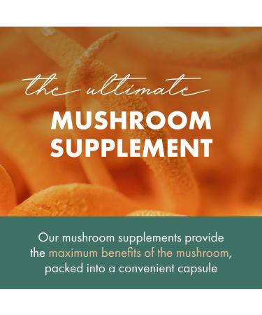 PURE ESSENCE LABS MyPure Cordyceps 4X Mushrooms - Concentrated Cordyceps Mushroom Powder Supplements for Immune System, Stress Response, Physical & Mental Performance - 2 Months Supply 60 Count (Pack of 1) - Buy Online on GoSupps.com