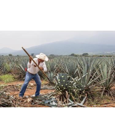 Tooludic Gift Wumsaltz cube with Sal de Gusano 2 x 4 g with name engraving according to the customers wishes - Buy Online on GoSupps.com