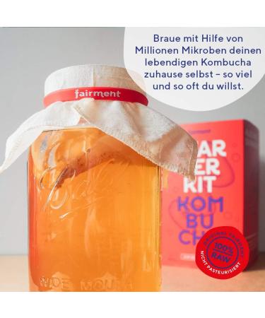 Buy Premium Fairy Kombucha Tea Mushroom | Organic SCOBY for 1-5L | Success Guarantee & Instructions - Buy Online on GoSupps.com