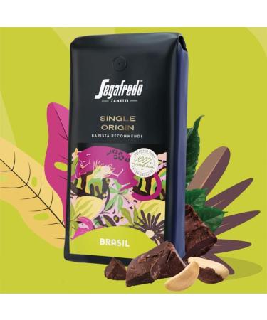 Segafredo Zanetti Whole Bean Coffee - Single Origin Brazil 100% Arabica - 1 KG - Barista Recommended | Rich Flavors of Dried Fruits Nuts & Chocolate - Buy Online on GoSupps.com