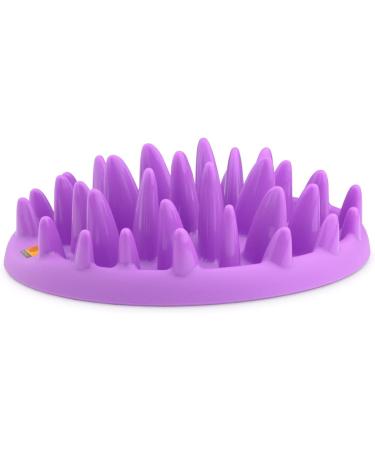 The Company of Animals CATCH Interactive Feeder - Purple | Buy Online - Buy Online on GoSupps.com