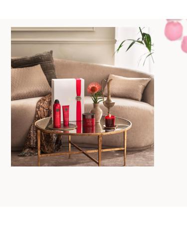 Ritual Gift Set | The Ritual of Ayurveda | L | 4 Body Care Products | Indian Rose & Sweet Almond Oil | Balancing Fragrance - Buy Online on GoSupps.com