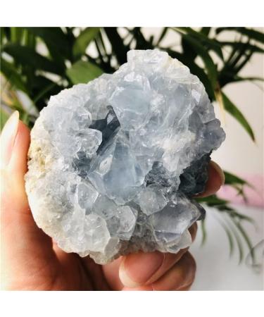 Home Decoration Natural Celestite geode Quartz Cluster Crystal Stones Home Goods ZJGIDTEM (Size : 220-260g) - Buy Online on GoSupps.com
