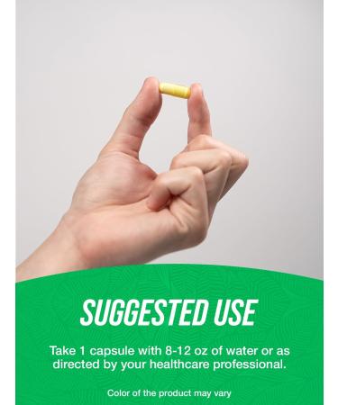 BulkSupplements.com Vitamin C from Acerola Cherry Capsules - Acerola Cherry Vitamin C Supplement - Gluten Free 1 Capsule per Serving 240 Veg Capsules (Pack of 1) - Buy Online on GoSupps.com