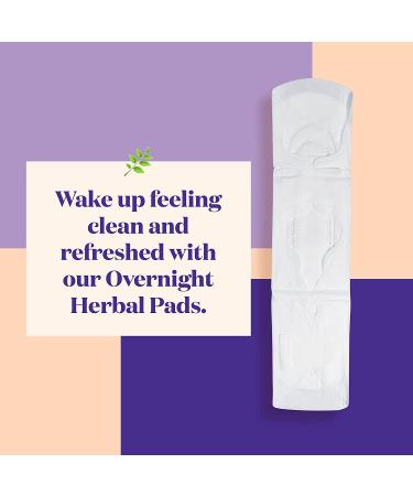 The Honey Pot Company Clean Cotton Overnight Pads - 12 Herbal-Infused, Winged & Plant-Derived Menstrual Care - Buy Online on GoSupps.com