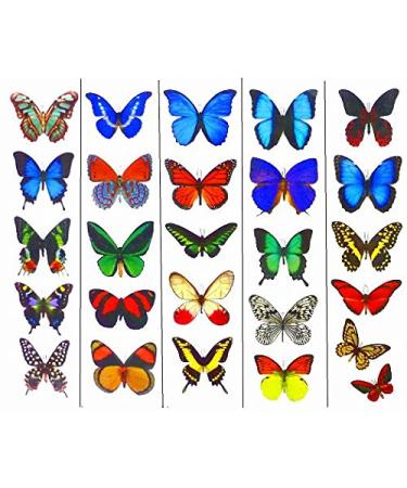 Colorful Temporary Butterfly Tattoos - 5 Sheets - by Butterfly Utopia 5 Sheets (Pack of 1)
