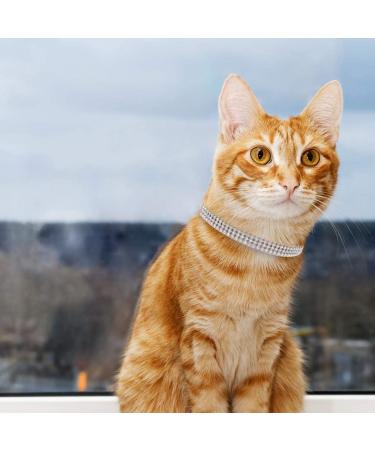 PUPTECK Bling Cat Collar with Double Bells - Adjustable XXS 6-8in Pink for Kitten & Small Puppy - Buy Online on GoSupps.com
