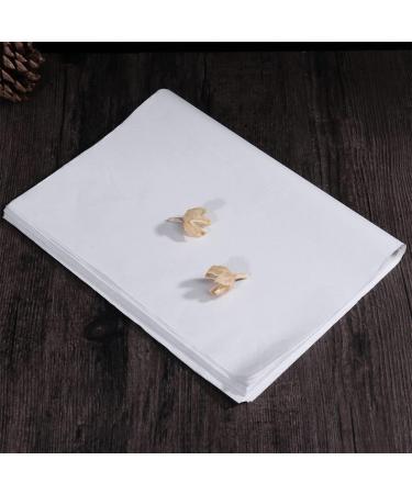 NUOBESTY 100 Sheets Rice Paper for Crafts Chinese Xuan Paper Craft Paper Writing Paper Japan 27c Advanced - Buy Online on GoSupps.com