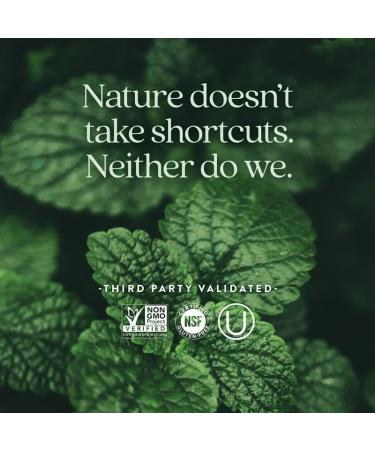 New Chapter Prenatal Vitamins One Daily Prenatal Multivitamin Enhanced for Age 35+ with Methylfolate + Choline for Healthy Mom & Baby Gluten Free & Non-GMO- 90 ct 90 Count (Pack of 1) - Buy Online on GoSupps.com