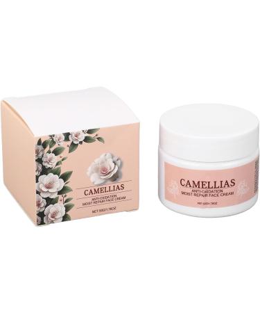  Fyearfly Pack of 2 camellia face creams 50g each moisturizes skin reduces fine lines absorbs quickly lightweight moisturizing face cream for women - Buy Online on GoSupps.com