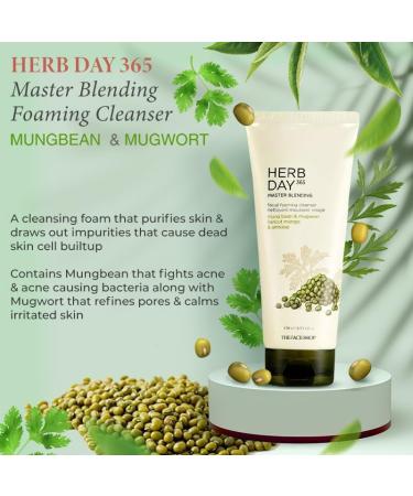 THE FACE SHOP Herb Day 365 Cleansing Foam Mung Bean - Buy Online on GoSupps.com