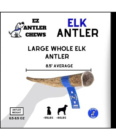 Elk Antler Dog Chews - Dental Sticks for Dogs - Premium Elk Antler Dog Bone - Natural Premium Long Lasting - Preservative Free Cruelty Free - Naturally Shed in Canada by EZ Antler Chews (Large Whole) - Buy Online on GoSupps.com