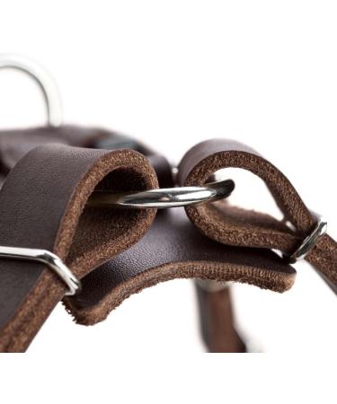 HUNTER Aalborg Leather Dog Harness - XS Dark Brown | Premium International Shipping - Buy Online on GoSupps.com