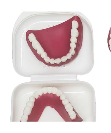 Human Teeth Model - Dental Prostheses for Seniors | Denture Care & Cleaning Set - Buy Online on GoSupps.com