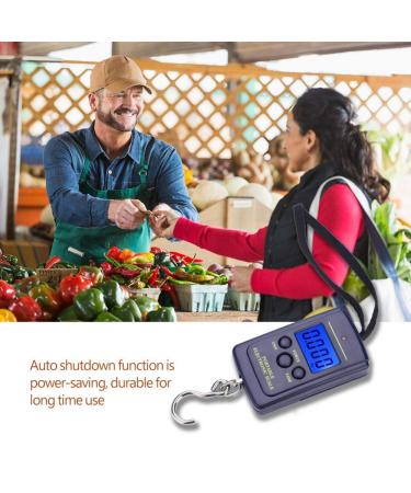 Digit Fishing Scale - 40 kg Hanging Digital Scale with Backlit LCD Display for Home & Outdoor Use | International Shipping Available - Buy Online on GoSupps.com