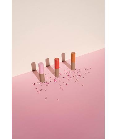 Kneipp Colored Lip Care - Natural Deep Nude | Tinted Lips & Nourishment | 2 Pack (3.5g Each) - Buy Online on GoSupps.com
