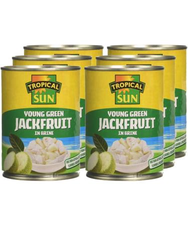 Tropical Sun Young Green Jackfruit in Brine 560g - Buy Online on GoSupps.com