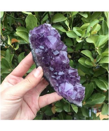 Natural Dream Amethyst Quartz Crystal Cluster Specimen Home Collections - Buy Online on GoSupps.com