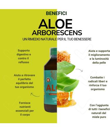 VESTENA Aloe Arborescens P re Zago - Fresh Aloe Arborescens Miller Juice Formula of Father Romano Zago Powerful Aloe Gel Juice to Drink Father Zago's Recipe Bottle of 500 ml - Made in Italy - Buy Online on GoSupps.com