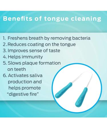 Dr. Tung's Stainless Steel Tongue Cleaner - Pack of 2 - Buy Online on GoSupps.com