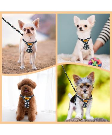 Eyein No Pull Small Dog Harness & Lead Set - Adjustable Lightweight Vest Harness for Small Dogs - Escape Proof & Easy Fit - XXS Black - Buy Online on GoSupps.com